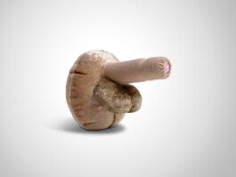 Material Sexualpädagogik Penis