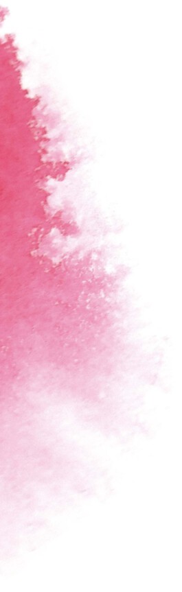 Sexualpädagogik und Beratung